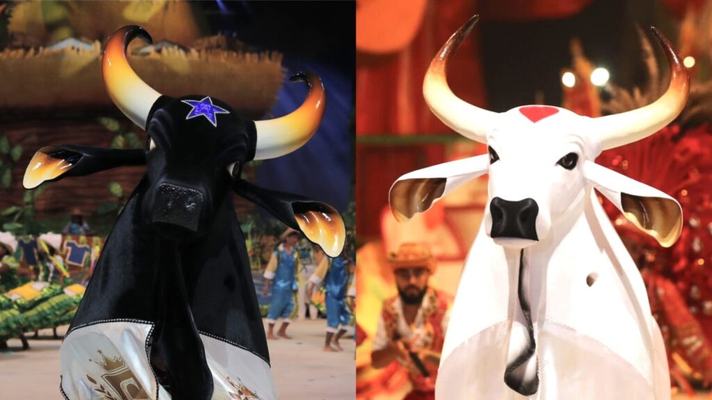 boi caprichoso e garantido